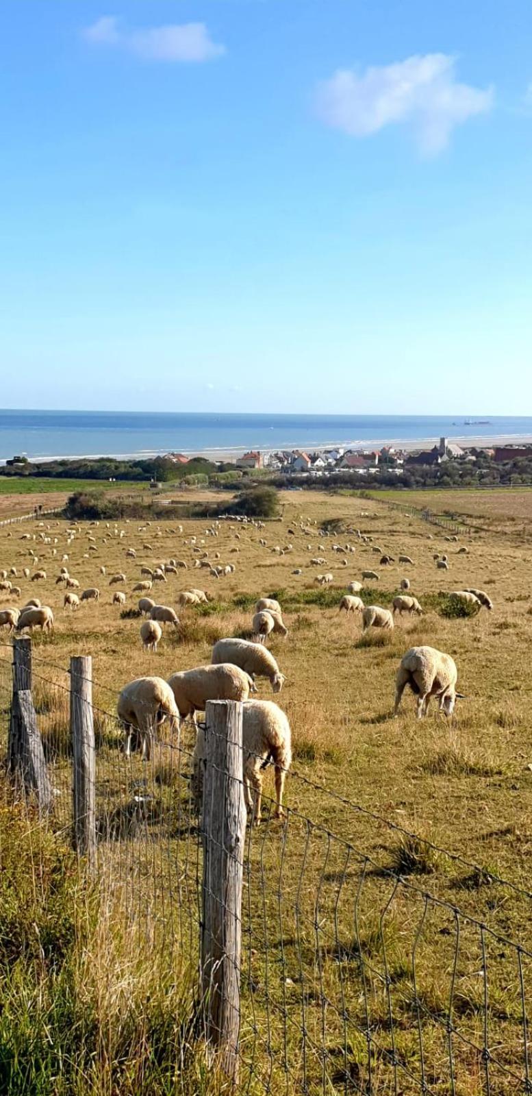 Au Kaycedra Calais Exterior foto
